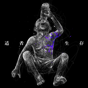 鲤鱼乡孕夫前列腺
