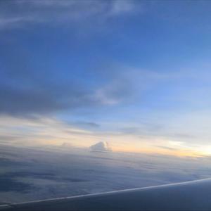 鲤鱼乡孕夫前列腺
