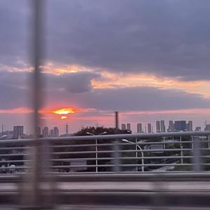 鲤鱼乡孕夫前列腺
